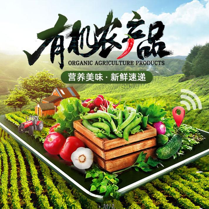 绿色有机农产品生鲜蔬菜农家特产瓜果生蔬淘宝店铺海报